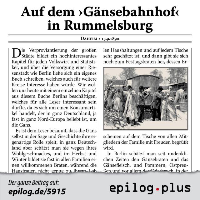 auf-dem-gaensebahnhof-in-rummelsburg