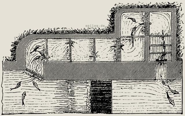 Cailsche Fischtreppe
