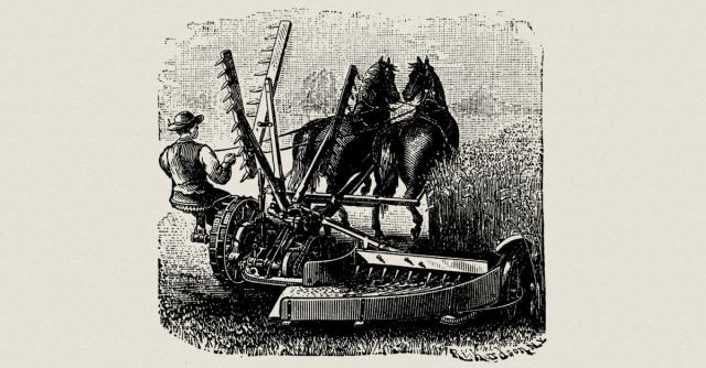 Landwirtschaft