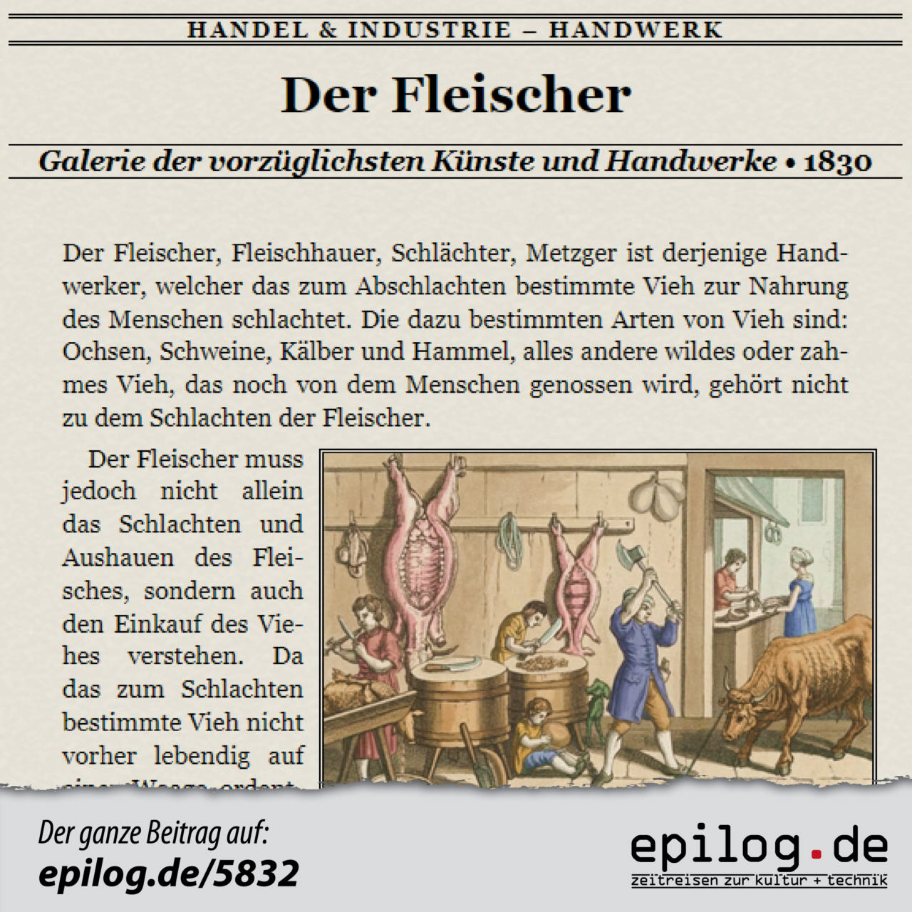fleischer