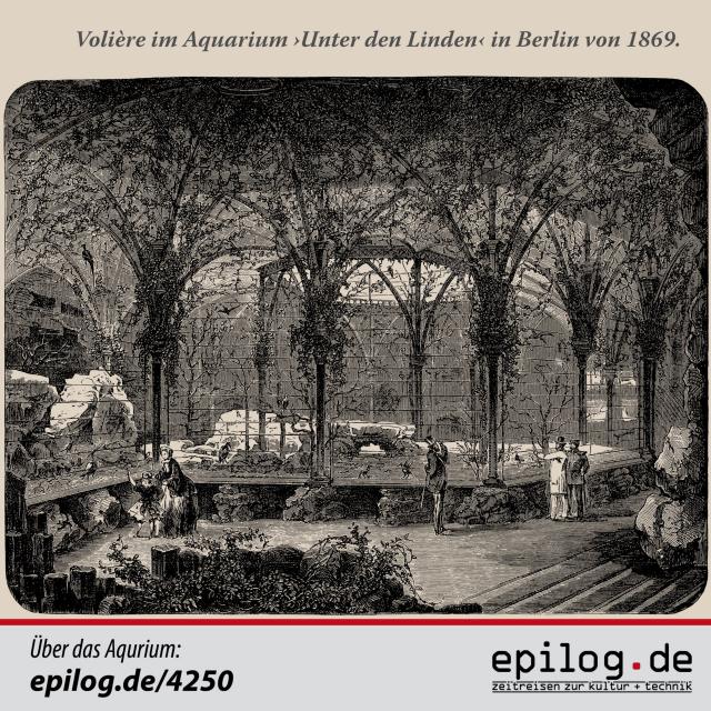 voliere